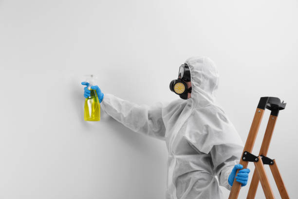 Best Mold Odor Removal Services  in USA